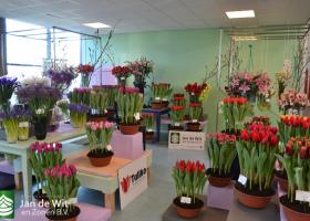 Trade Exhibition 2019