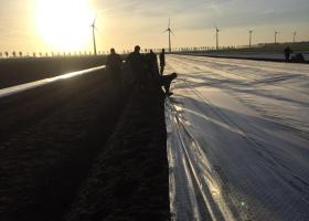 Plastic across tulip fields