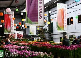  Thank you for visiting us during the Tulip Trade Event