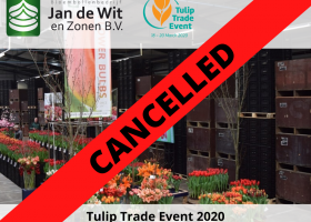 Мероприятие Tulip Trade Event отменено из-за коронавируса
