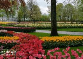 Keukenhof 2021