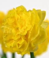 Eastertide