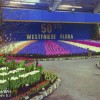 画像 50回目の「ウェストフリーズ フローラ（Westfriese Flora）」花卉展覧会への参加