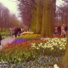 Afbeelding Doopceremonie van de tulp 'Monica', vernoemd naar Monica de Wit van de Zusters Augustinessen van de Stad Gods, dochter van oprichter Jan de Wit.