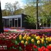 Abbildung Erste Teilnahme an der Keukenhof-Gartenschau.