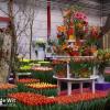 Afbeelding Laatste editie en deelname Holland (Food &) Flowers Festival (voorheen Westfriese Flora).