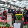 Afbeelding Doop van de tulp 