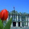 Abbildung Taufzeremonie der Tulpe „Hermitage“ im berühmten Hermitage-Museum in St. Petersburg in Russland.