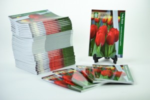 Tulip picture book