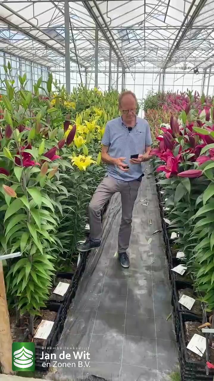 Lily Test Greenhouse