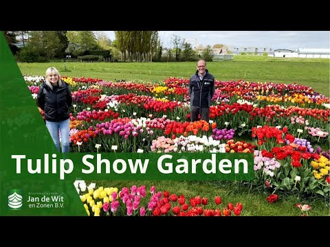 Tulip Show Garden