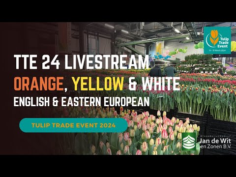 Livestream TTE 2024 - White, Yellow and Orange - EN/EEU