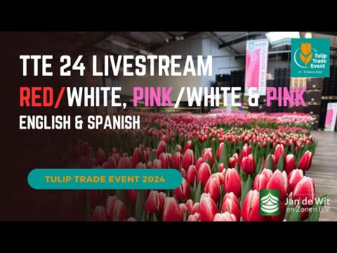 Livestream TTE 2024 - Red/White and Pink - EN/ES