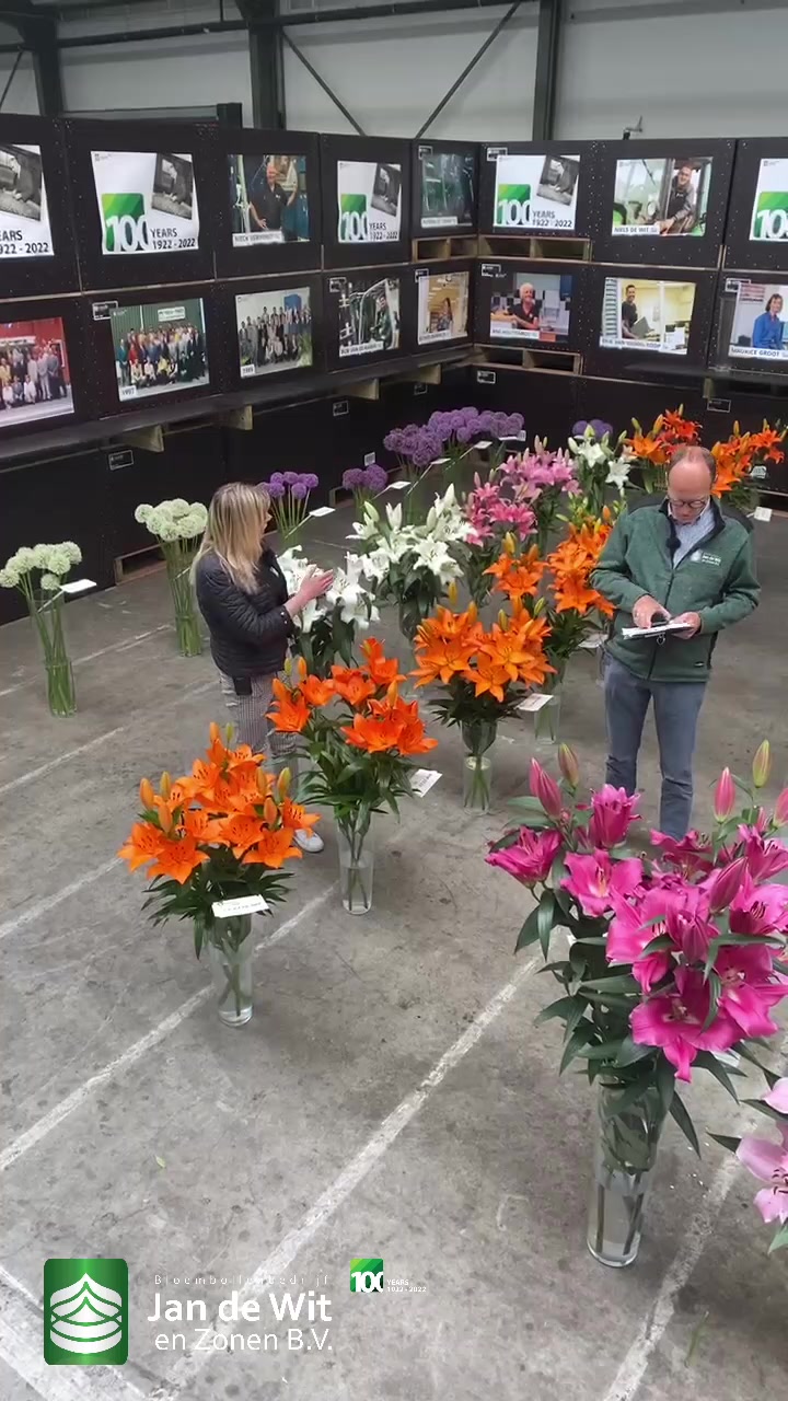 Alliums, lilies and irises