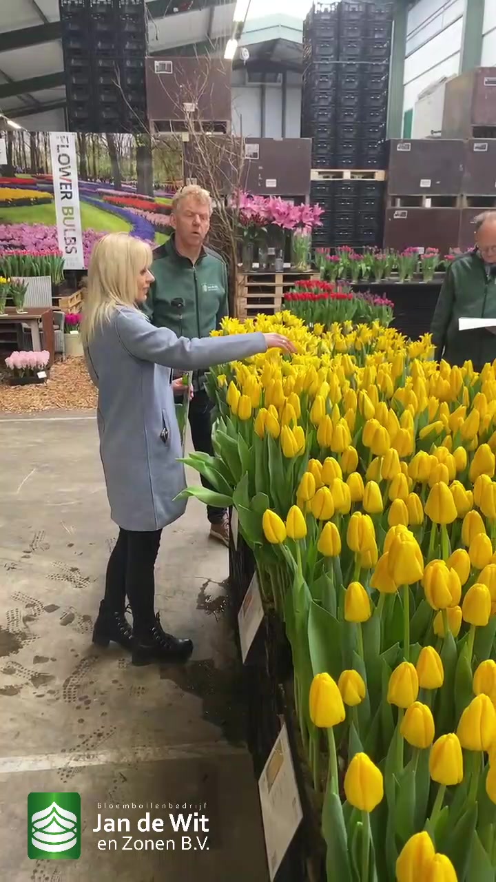 Tulip event, 18-03-2021, morning edition