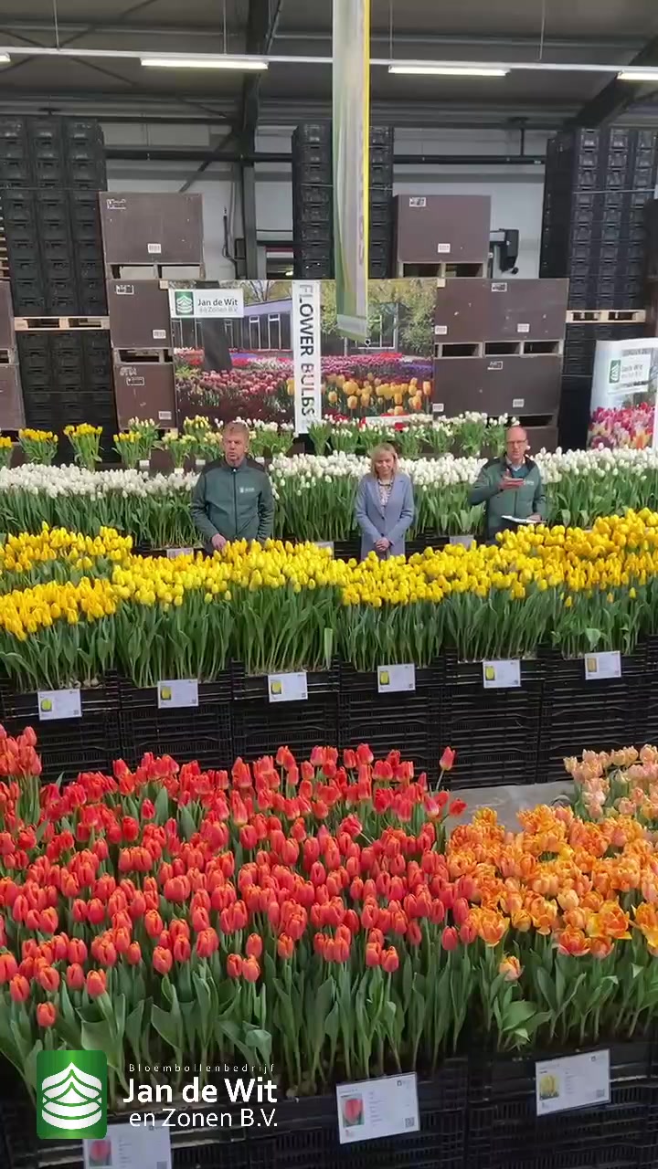 More from the Tulip Event