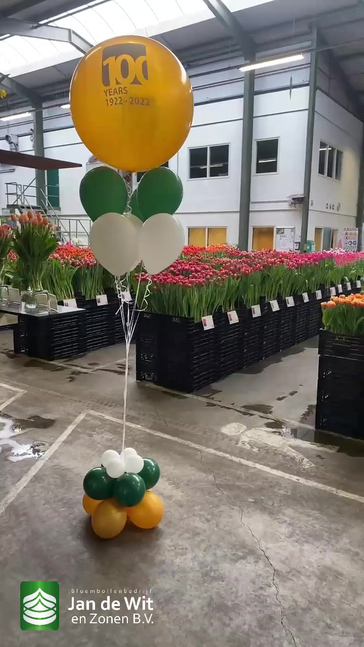 Tulip Trade Event 2022 (3)