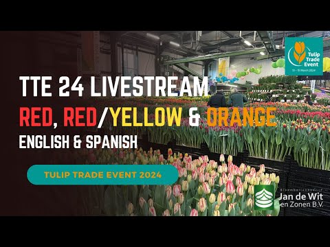 Livestream TTE 2024 - Red, Red/Yellow and Orange - EN/ES