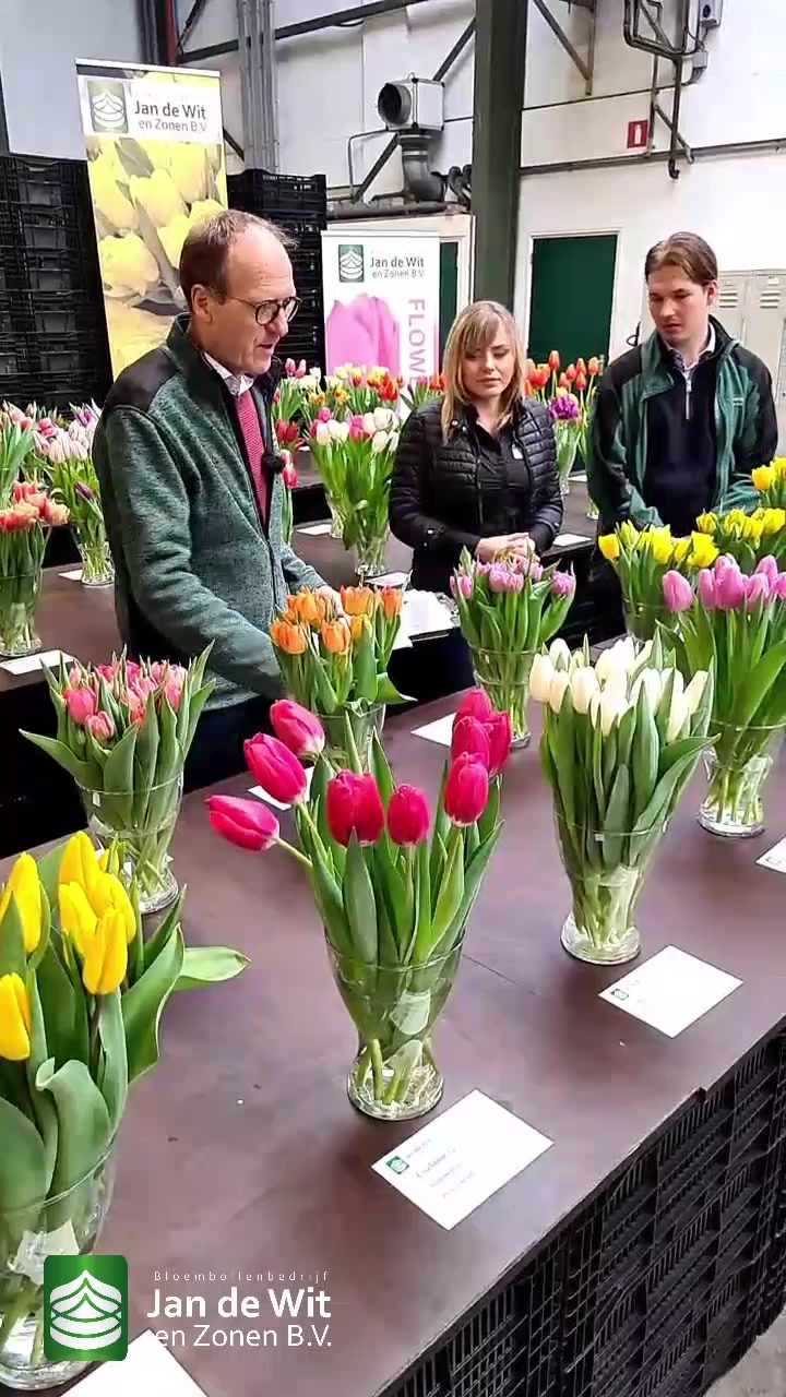 Tulips and more