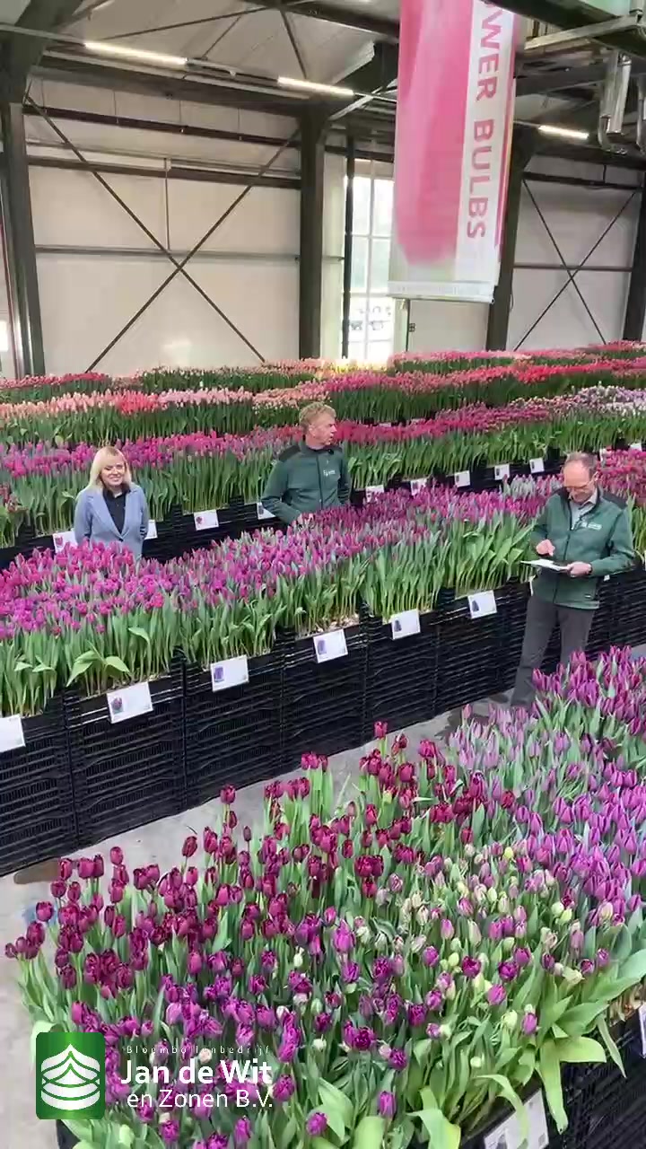 Tulip event, 18-03-2021, afternoon edition