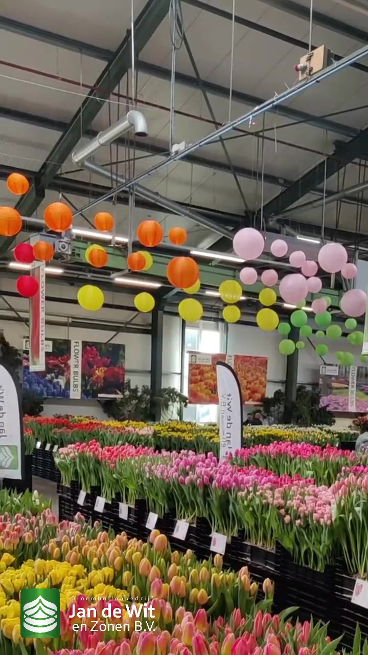 Tulip Trade Event 2022 (1)