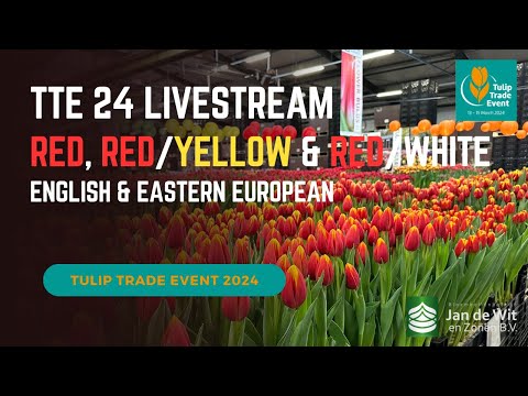 Livestream TTE 2024 - Red, Red/Yellow, Red/White - EN/EEU