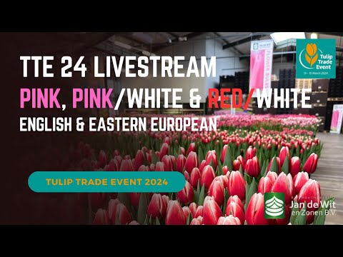 Livestream TTE 2024 - Pink and Red/White - EN/EEU