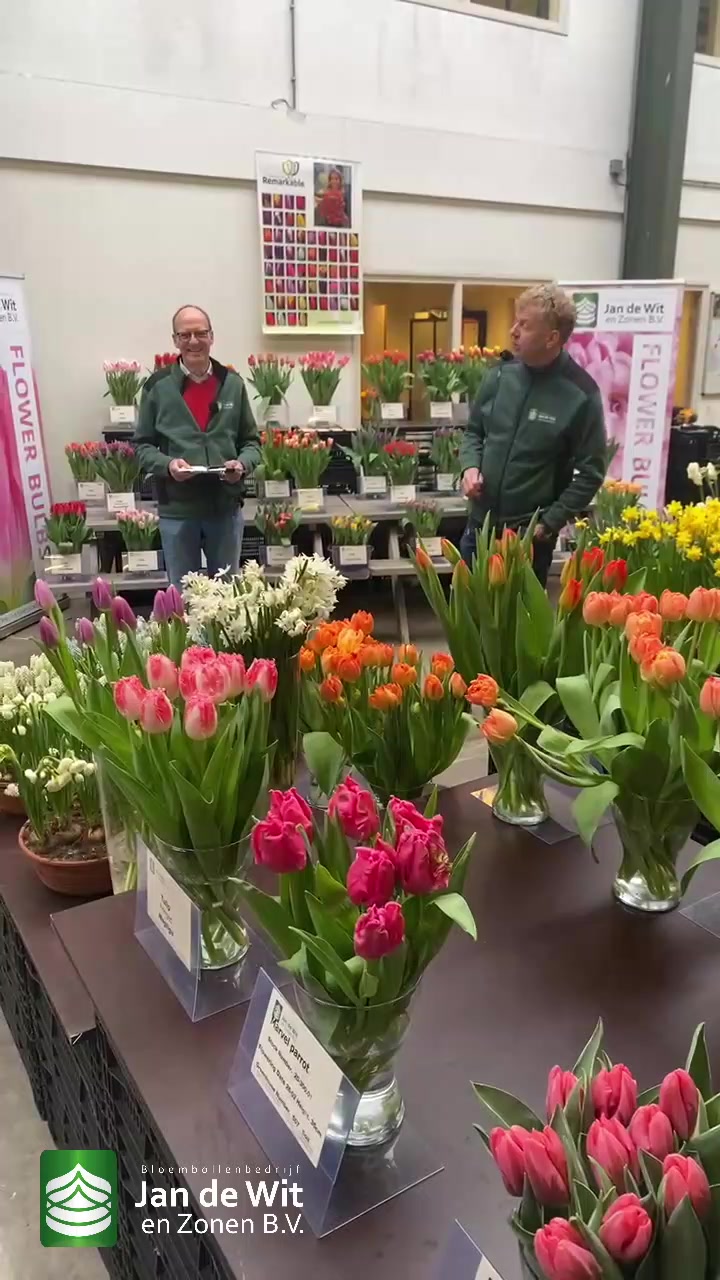 Tulips, lilies and much more