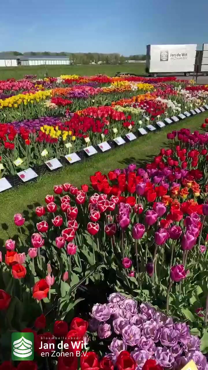 Show garden