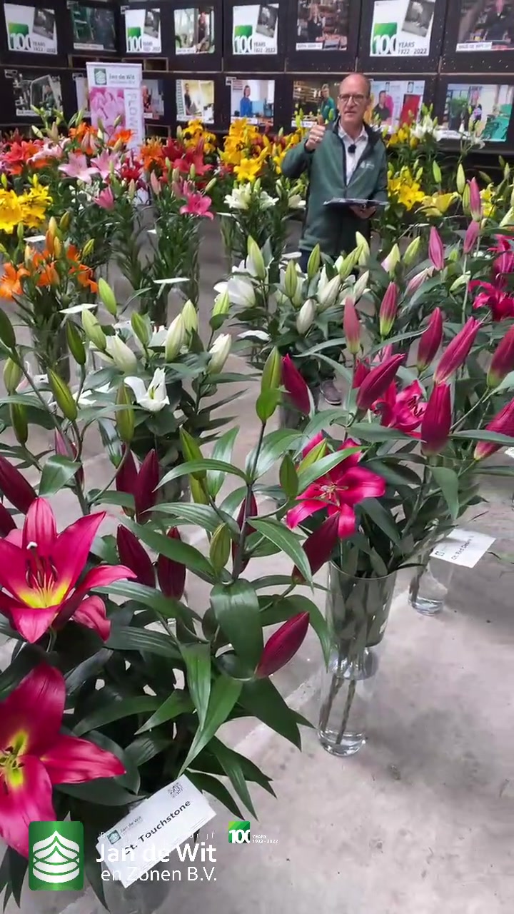 Alliums, lilies and irises