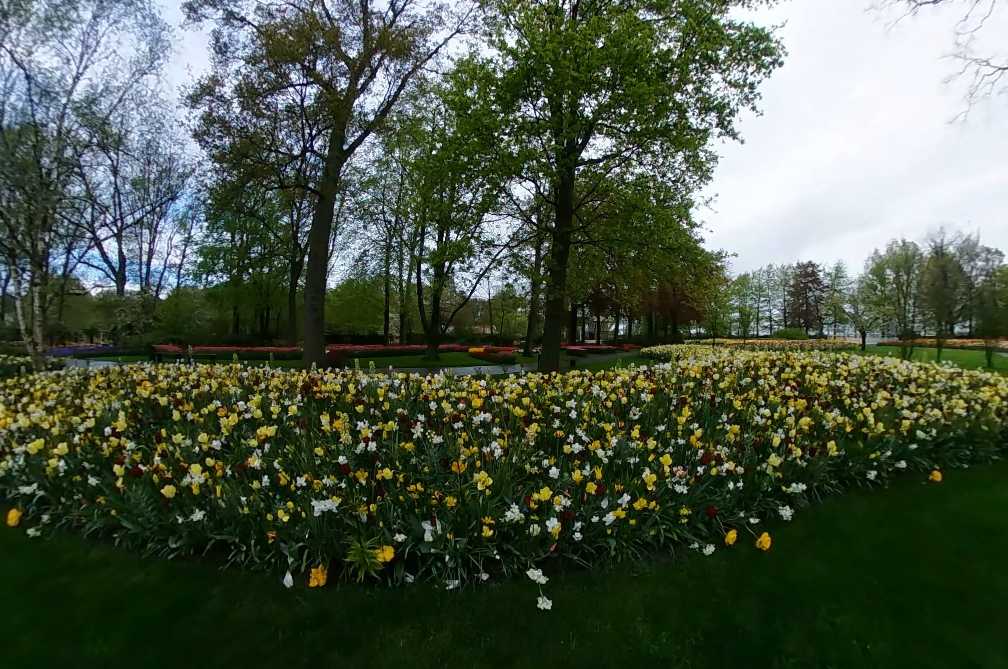 Keukenhof 2021